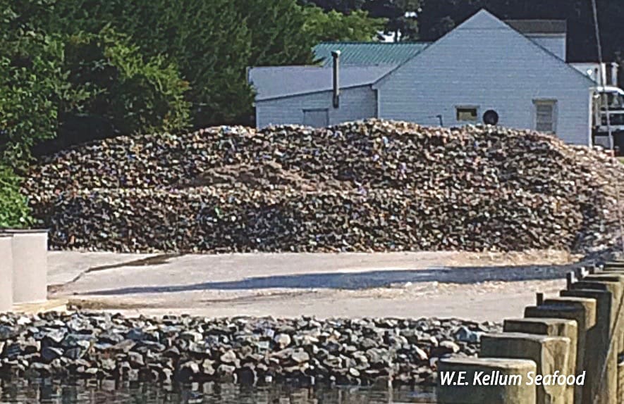 oyster shells, W.E. Kellum Seafood